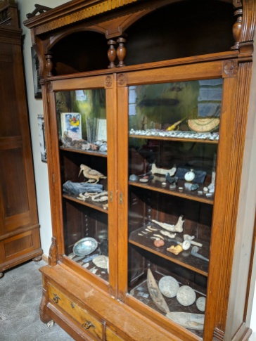 Curiosity cabinet display at the MOA